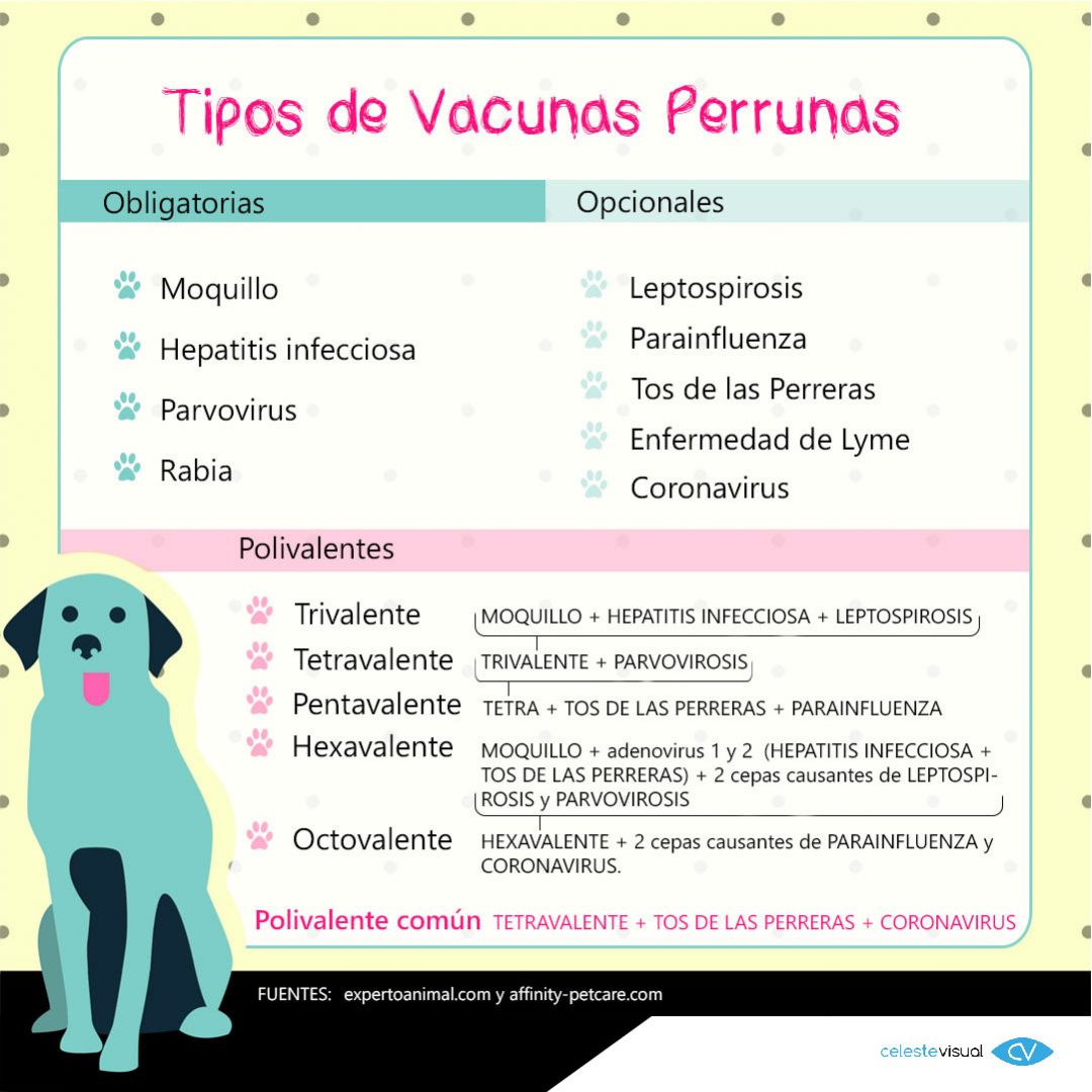 infografía-VACUNAS-PERRUNAS2